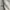 Casual Harrington jacket Pria silver white photo 7