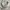 Casual Harrington jacket Pria silver white photo 4
