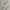Casual Harrington jacket Pria silver white photo 3