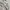 Casual Harrington jacket Pria silver white photo 5