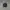Streetwear Sportswear Hat Pria Black