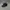 Streetwear Sportswear Hat Pria black photo 2