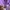 Shein Vintage Bandeau top Wanita purple photo 3