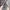 Vintage Pria gray blue photo 5