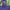 Vintage Streetwear Parka Pria purple green photo 3