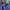 Vintage Streetwear Parka Pria Purple Green