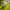 Mizuno Sportswear Jersey Pria yellow photo 5