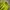 Mizuno Sportswear Jersey Pria yellow photo 3