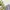 Casual Sweater Wanita purple photo 3