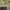 Shein Y2K Coquette Crop top Wanita multicolor green photo 4