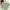 COLORBOX Casual T-shirt Wanita green photo 1