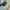 Adidas Casual Sneakers Pria Multicolor