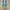 Adidas Casual Sneakers Pria multicolor photo 3