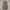 Adidas Casual Sneakers Pria multicolor photo 5