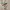 Adidas Casual Sneakers Pria multicolor photo 1