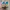Adidas Casual Sneakers Pria multicolor photo 4