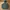 Carhartt Streetwear Hoody Pria multicolor photo 1