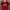 Adidas Y2K Sportswear Jersey Pria black red photo 1
