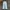 Spao Streetwear Skater Jeans Pria blue photo 5