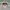 New Era Streetwear Casual Hat Wanita multicolor photo 3
