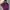 L.L.Bean Gorpcore Trench Coat Pria Purple