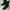 Dr. Martens Vintage Grunge Boots Pria Black