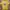 Nike Casual T-shirt Pria yellow photo 1