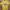 Nike Casual T-shirt Pria Yellow