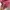 Adidas Sportswear Casual Sweater Wanita pink photo 4