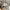Crocodile Casual Sweater Pria gray photo 4