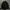 Adidas Casual Track jacket Pria black photo 1