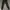Converse Sportswear Casual Sweatpants & Joggers Pria black gray photo 8