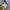 Gucci Casual Bags & purse Wanita cream photo 4