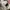 Gucci Casual Bags & purse Wanita cream photo 6
