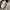 Big John Vintage Casual pants Pria tan cream photo 8