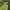 H&M Sportswear Hoody Kids green gray photo 5