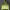 H&M Sportswear Hoody Kids green gray photo 3