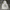 Uniqlo Y2K Indie Hoody Kids multicolor gray photo 3