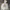 Uniqlo Y2K Indie Hoody Kids multicolor gray photo 2