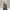 Japanese brand Vintage Y2K Skirt Wanita tan brown photo 6