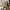 Adidas Vintage Sportswear T-shirt Pria white photo 4
