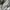 Emo Indie T-shirt Pria multicolor gray photo 8