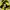 Stussy Sportswear Pria yellow photo 4