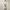 Polo Ralph Lauren Vintage Luxury Shirt Wanita white photo 2