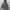 Streetwear Hoody Pria gray photo 4
