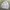Streetwear Minimalist Windbreaker Pria multicolor photo 3