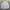 Streetwear Minimalist Windbreaker Pria multicolor photo 1