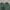H&M Y2K Casual Crop top Wanita green photo 2