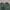 H&M Y2K Casual Crop Top Wanita Green