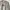 Nike Vintage Streetwear T-shirt Pria gray photo 3
